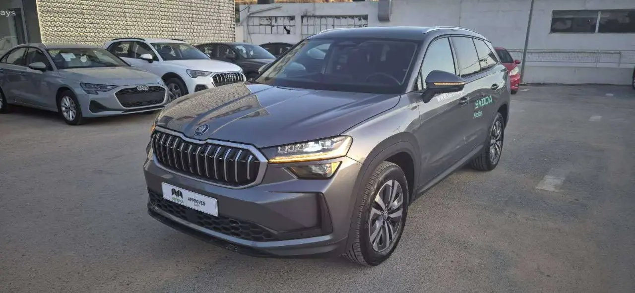 Skoda Kodiaq - View 2