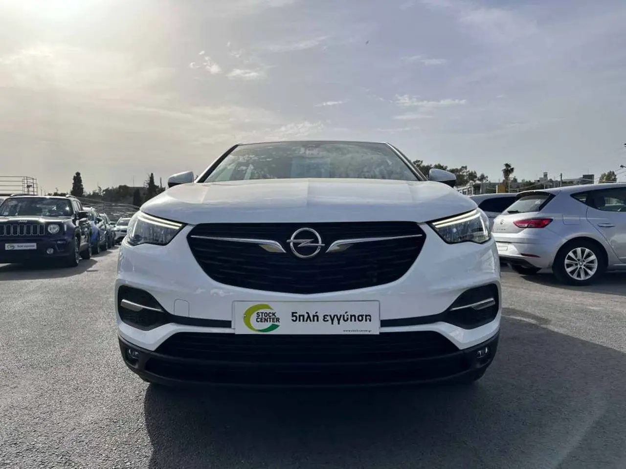 Opel Grandland - View 2